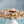 Load image into Gallery viewer, Just a Nibble - 24 Pack
