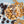 Load image into Gallery viewer, Treat Yourself - 6 Pack
