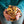 Load image into Gallery viewer, Just a Nibble - 12 Pack
