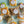 Load image into Gallery viewer, Minis - 36 Pack
