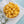 Load image into Gallery viewer, Just a Nibble - 24 Pack
